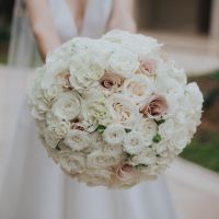 Cat+JulianWed 622