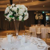 Cat+JulianWed 682