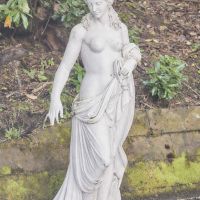  DSC8062