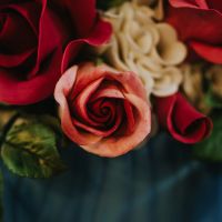 Edible Roses