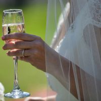 Wedding 7